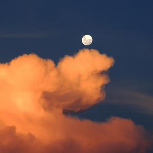 诱奷双胞胎小罗莉的更新时间
