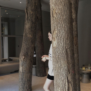 诱奷双胞胎小罗莉的更新时间
