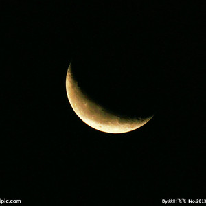 诱奷双胞胎小罗莉的更新时间
